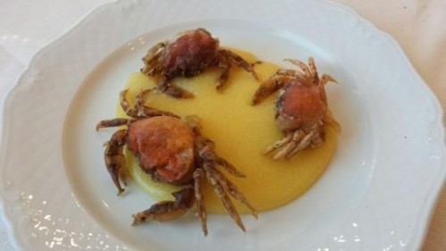 Antipasto di pesce